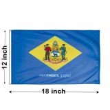 12"x18" Delaware Nylon Outdoor Flag